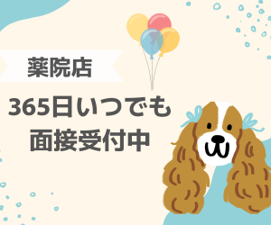 毎日面接受付中です✨！