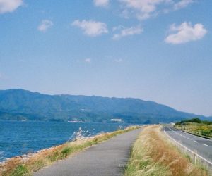 夏休みはチャットでお稼ぎしませんか🌻