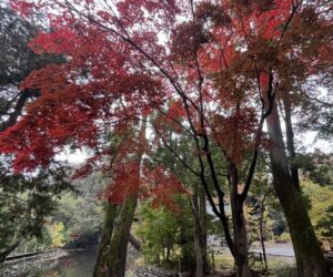 季節を楽しむ♩