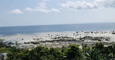 奄美大島