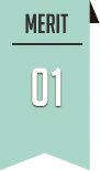 merit1