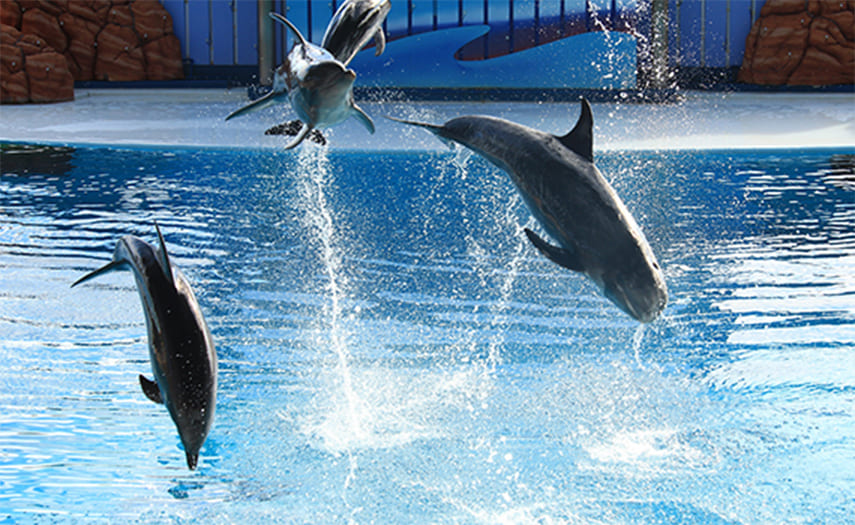 海の中道海浜公園