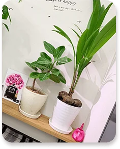 天神店
