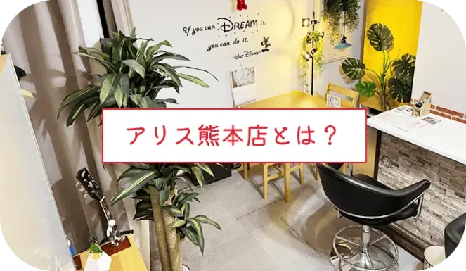 アリス熊本店とは？