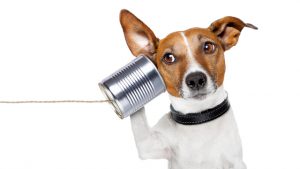 150316better-listener-thumb-640x360-85325