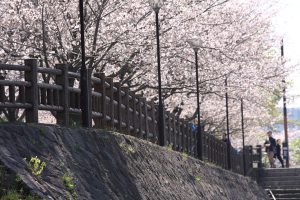 新人さん必見メールを書く方法！！