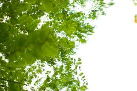 今週もやってきます！稼げる週末です！