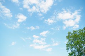 自信がなくても大丈夫です☆彡