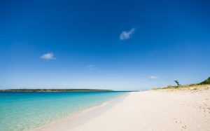 チャットレディを本業にできる!?(3)