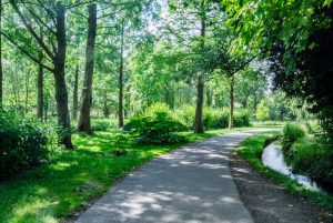 チャットレディってどんなお仕事？？