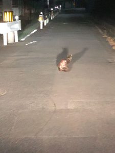 それぞれに合った働き方♪