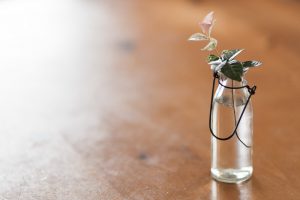 平成30年北海道胆振東部地震１