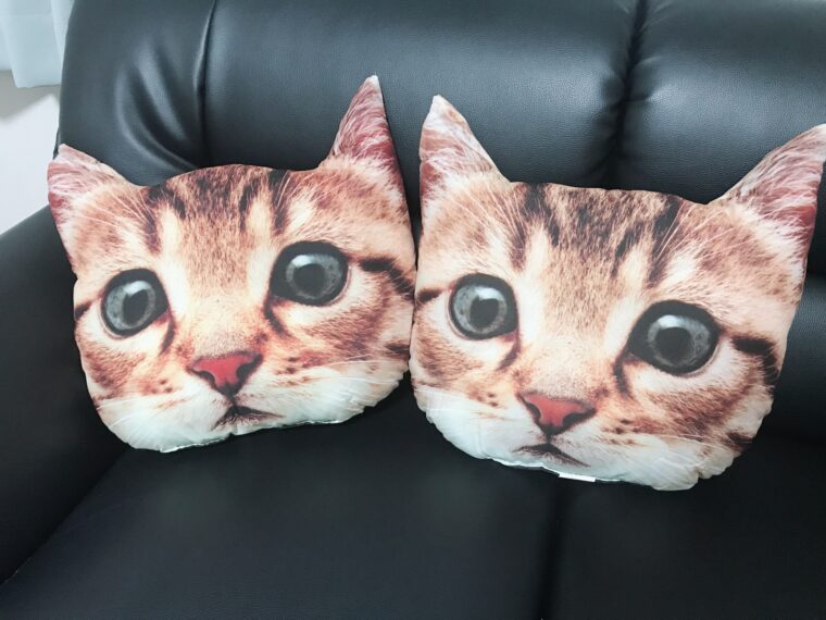 猫の手も借りたい・・・