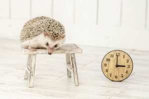 チャットは24時間稼ぐチャンスあり！