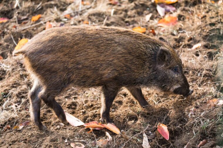 無言の対処法☆