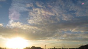 はじめまして若葉です＾＾