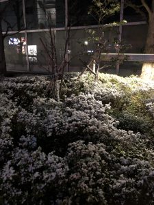 ライブチャットアリス仙台店新店長の・・・