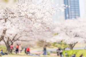 スタッフ兼チャットレディの