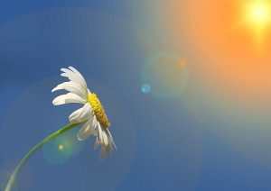 チャットでのコツ(マメ編)♪