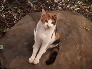 待機の過ごし方♪