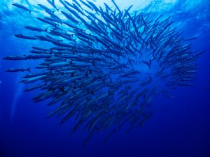 半年過ぎましたね～2019年。