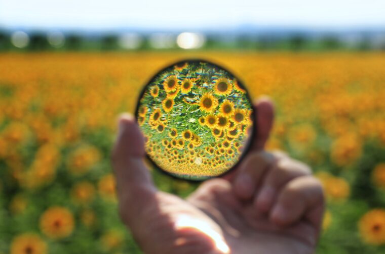 あなたの才能を生かして稼ぎませんか？