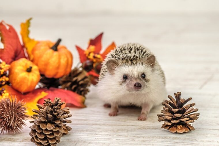 勘違いに要注意です！！