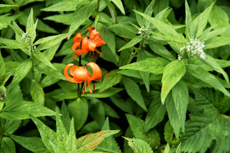 仕事中に遊んでもOK？その真相は！？