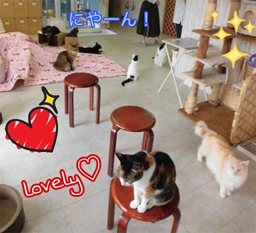 モデルさんと一緒に癒されに☆