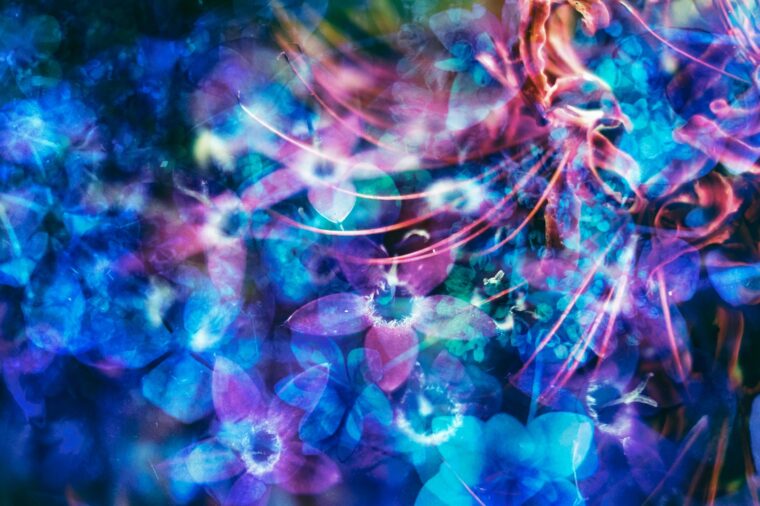 好きなことで生きていく？