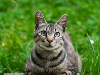 ひとつひとつの出会いに感謝しています