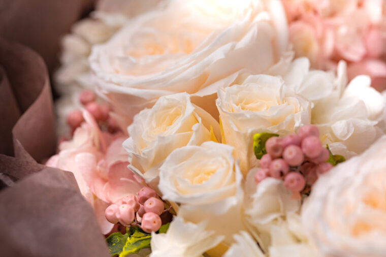 女の子の生の声を紹介！