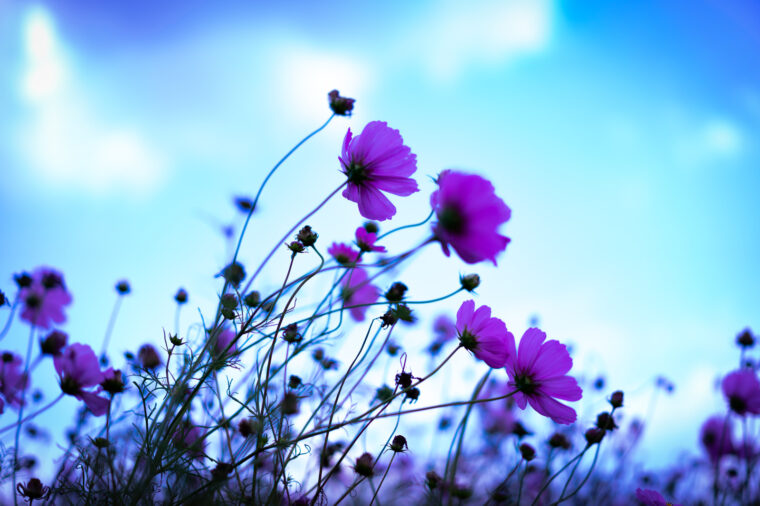 クリスマスに向けてガッツリ稼ぎませんか？