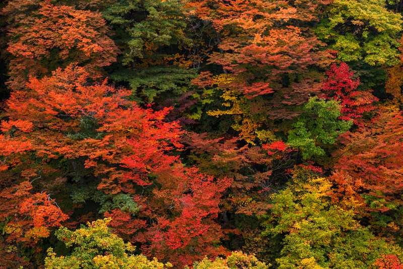 残り2か月！！！