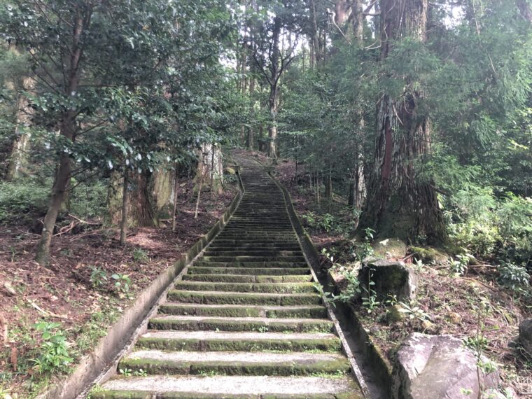 この時期からコツコツと・・