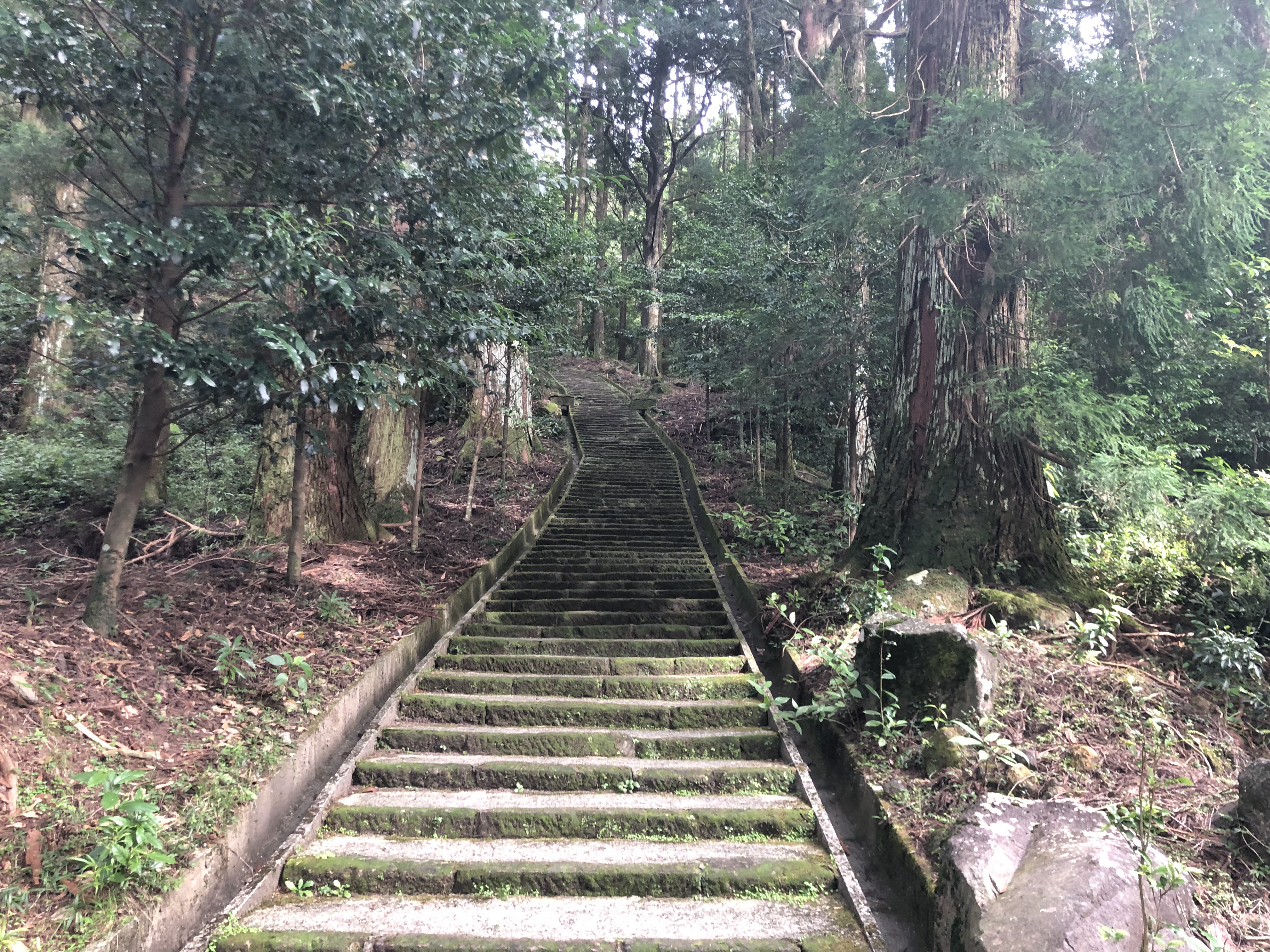 この時期からコツコツと・・