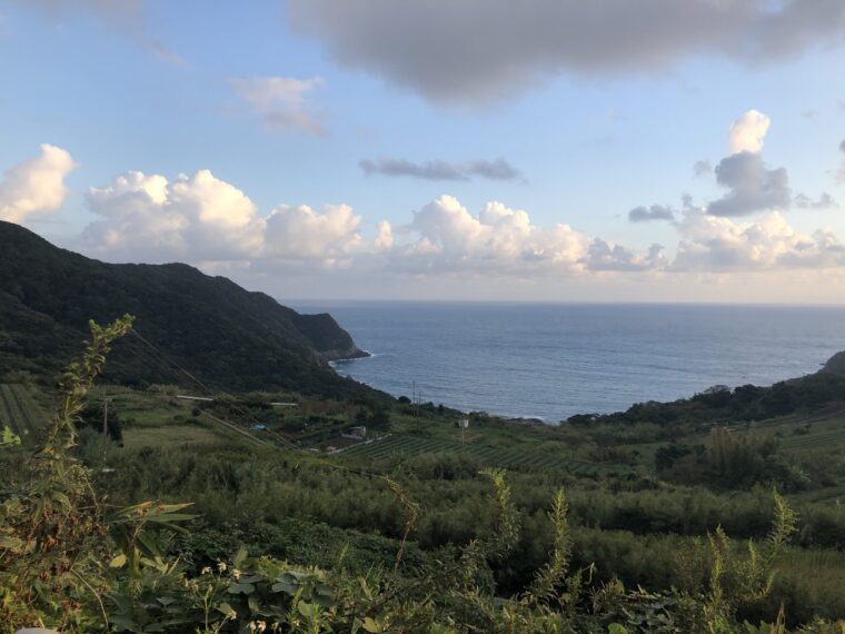 オトクな情報です！！