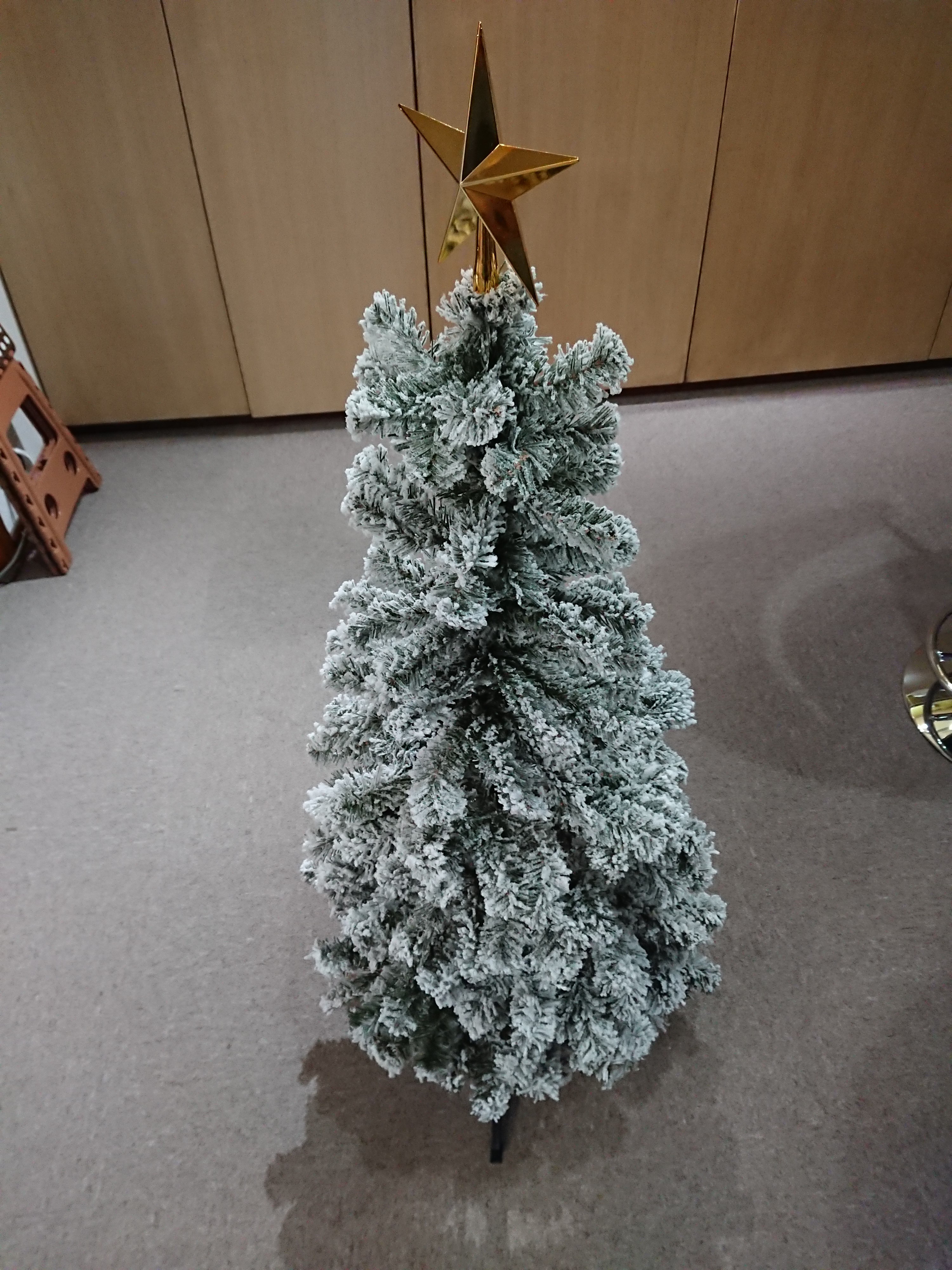 もみのき観察日記