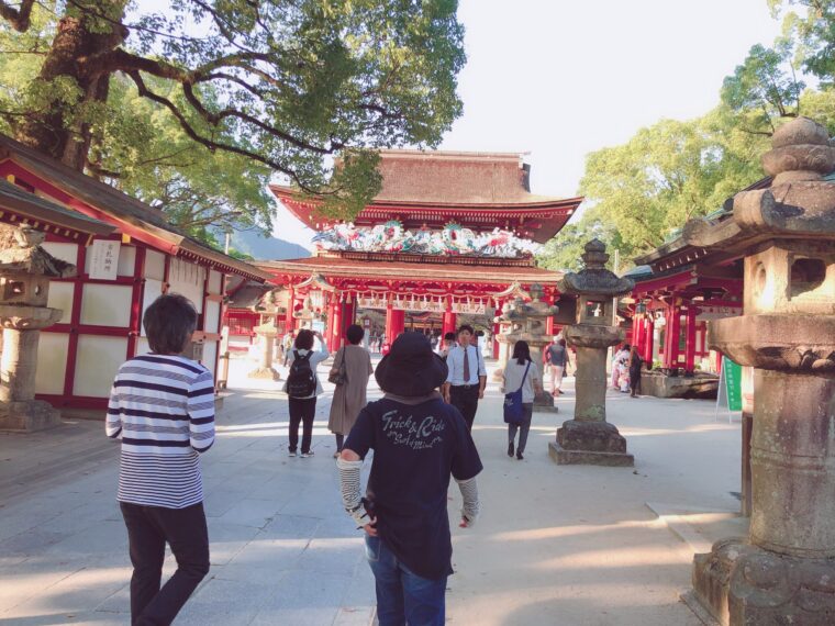 お急ぎくださいよ！！