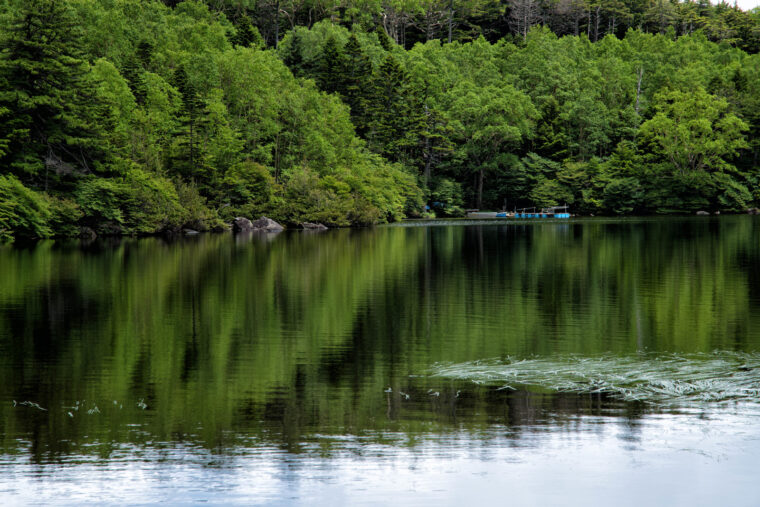 ●●があれば天才チャットレディになれる？