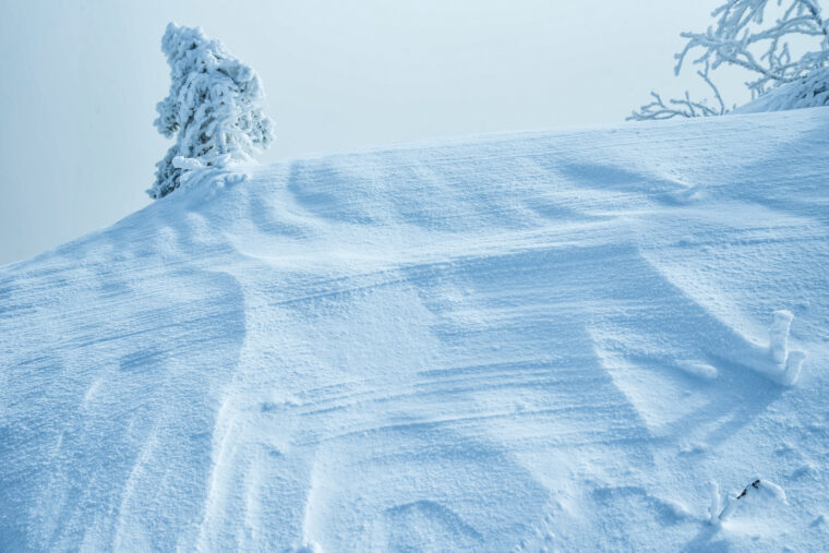 チャットレディでインテリ女子になれる？