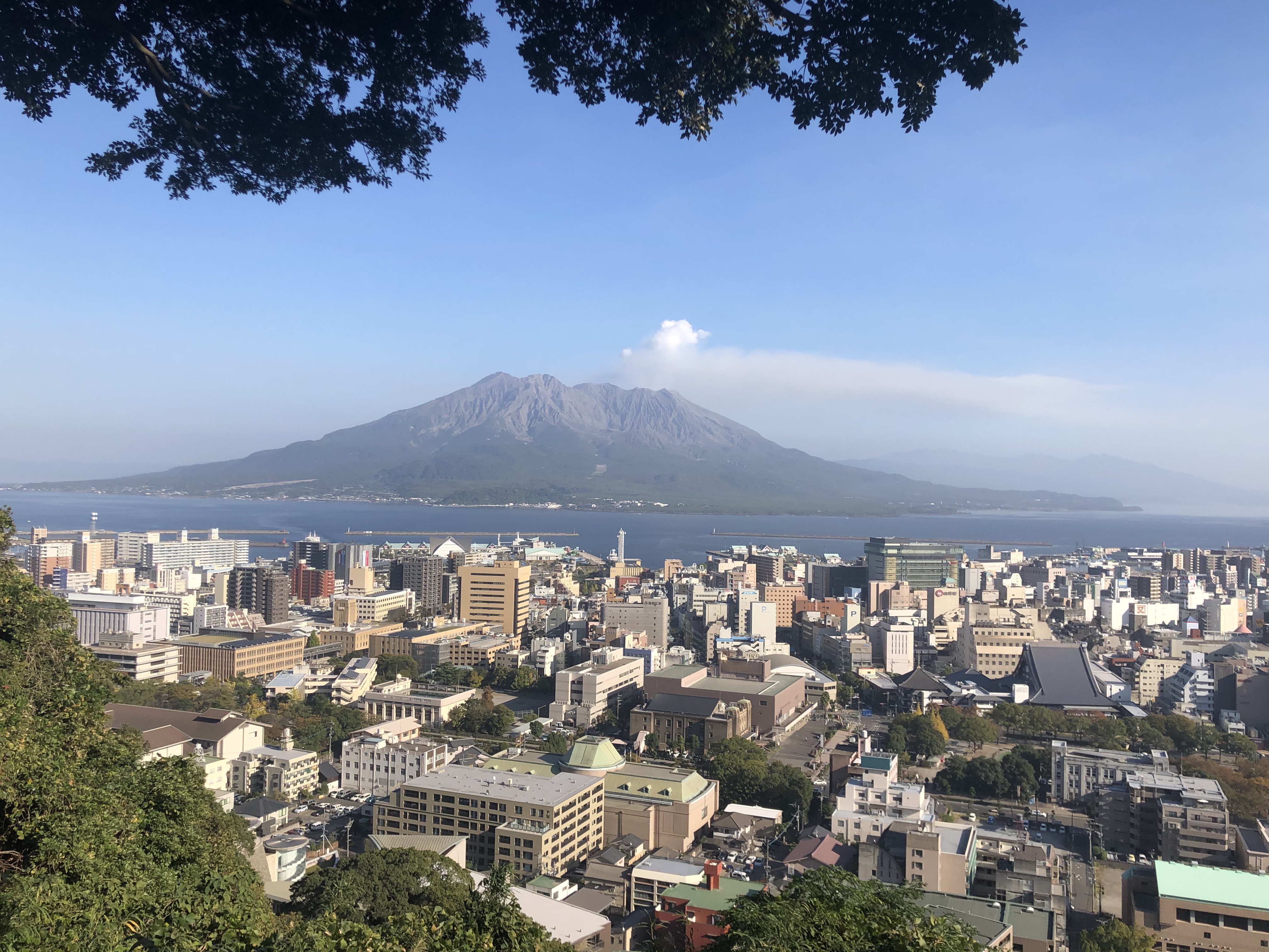 新年あけましておめでとうございます。