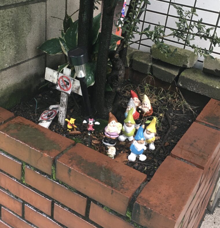 こんなところに！見ーっけ！