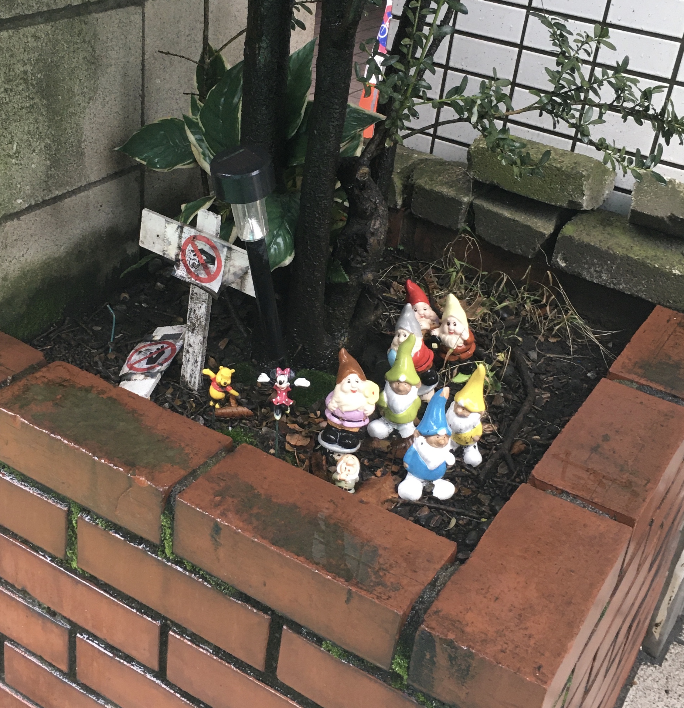 こんなところに！見ーっけ！