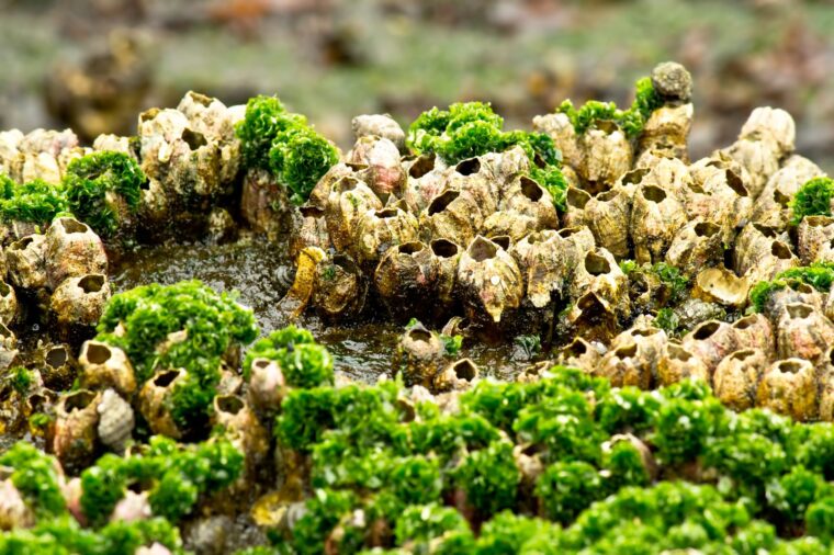 春に向けて稼ぎませんか？