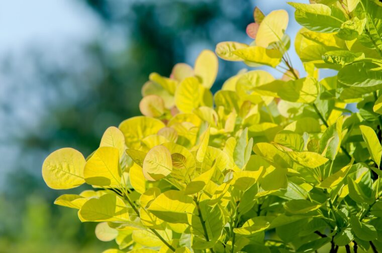 初心者の女の子が初日で1万円稼いだ話