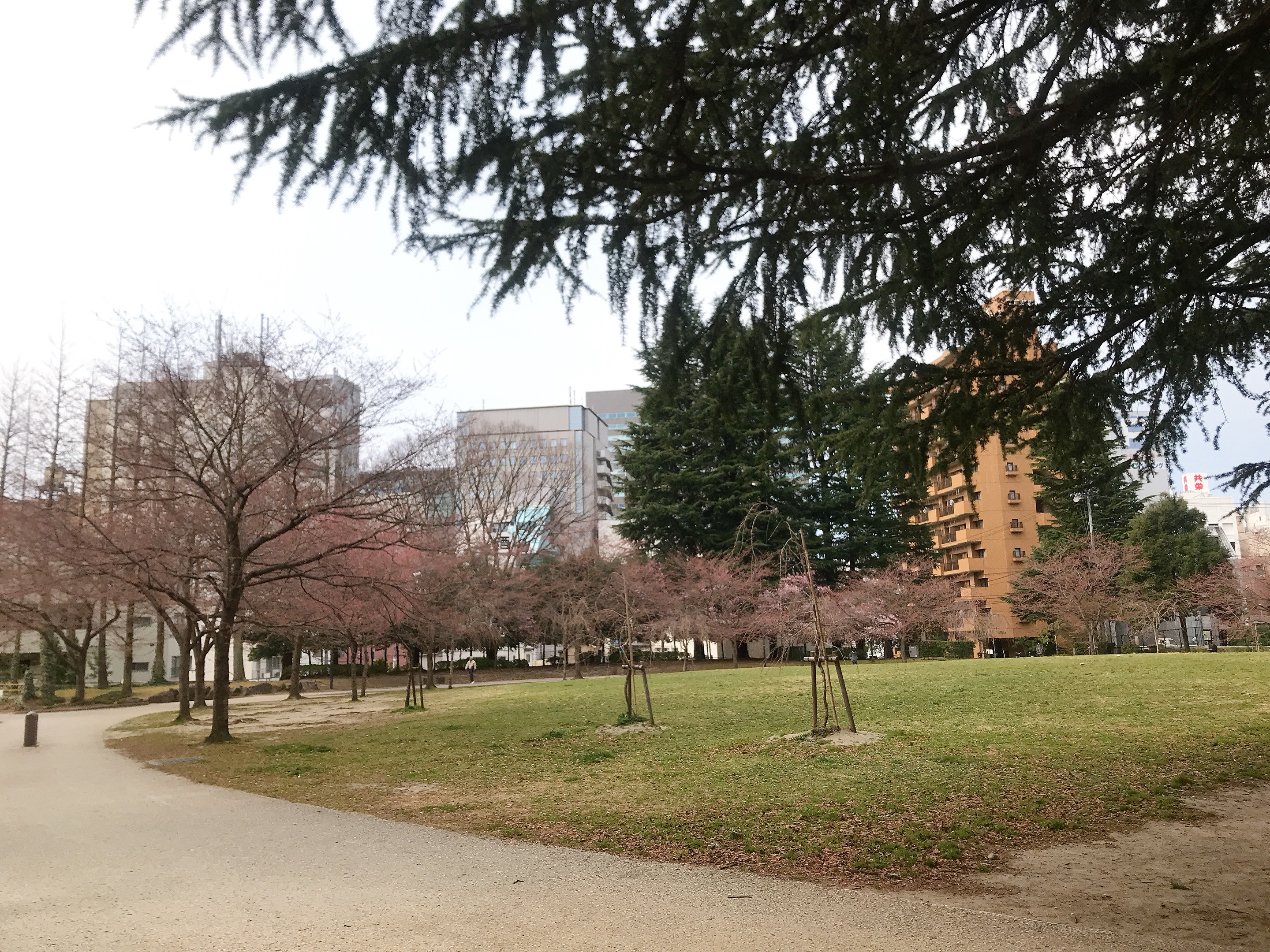 検索ワードを大調査🔍