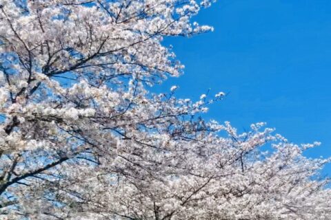 ボーナス盛り沢山な11月! 画像3