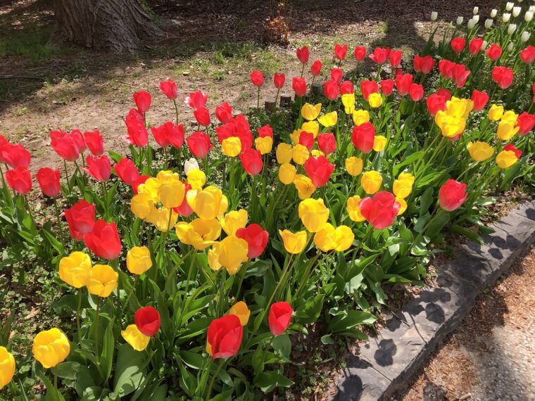 GWイベント大賑わいでした♥