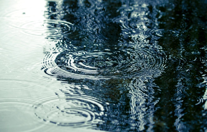 梅雨時は狙い目！？